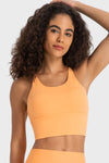 Crisscross Back Sports Bra